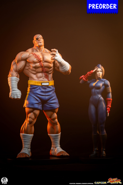 Premium Collectibles Studio Street Fighter - Street Jam Sagat & Juli 1/10 Statue